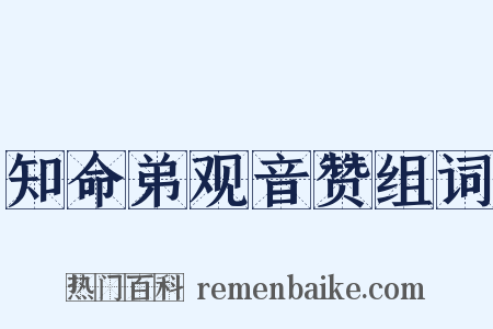 知命弟观音赞组词是什么意思的图片